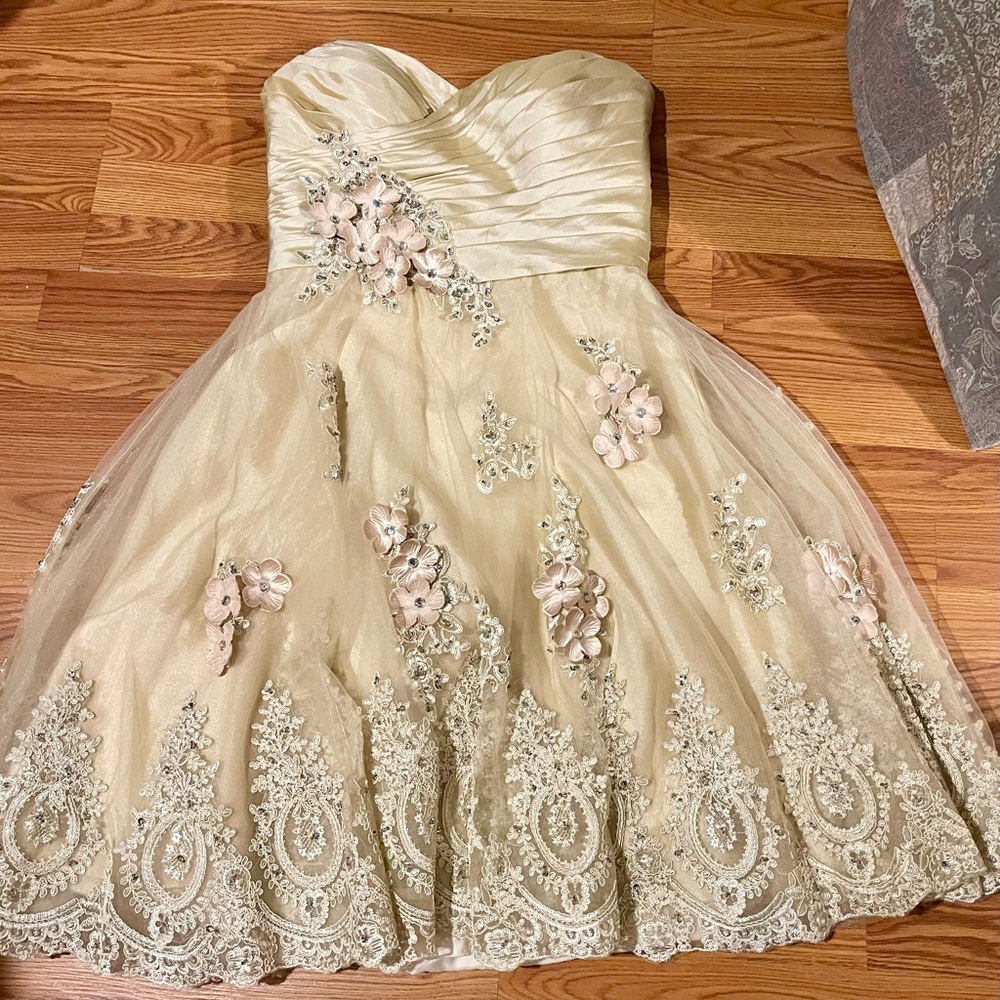 Champagne vintage style wedding or prom dress.
